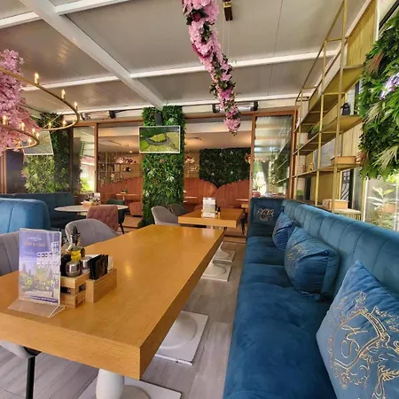 Palma In Harmony 2,3