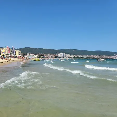 Palma In Harmony 2,3