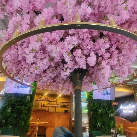 Appartement Palma In Harmony 2,3 *